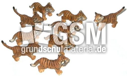 Tiger8+1.jpg